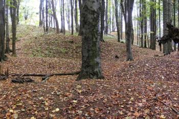 Výrazné terénní anomálie v prostoru předbraní (předhradí) ( © Jan P. Štěpánek 10/2007)