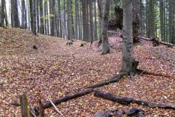 Výrazné terénní anomálie v prostoru předbraní (předhradí) ( © Jan P. Štěpánek 10/2007)