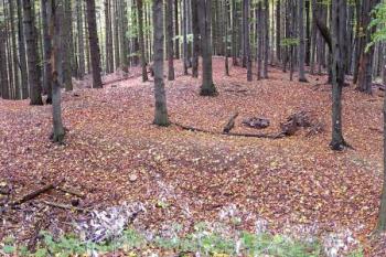 Výrazné terénní anomálie v prostoru předbraní (předhradí) ( © Jan P. Štěpánek 10/2007)
