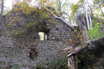 Torzo obvodové hradby západní části hradu ( © Jan P. Štěpánek 10/2007)