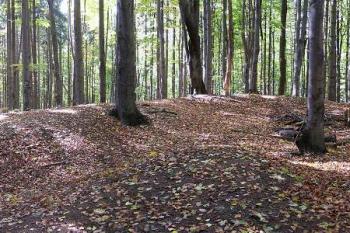Výrazné terénní anomálie v prostoru předbraní (předhradí) ( © Jan P. Štěpánek 10/2007)