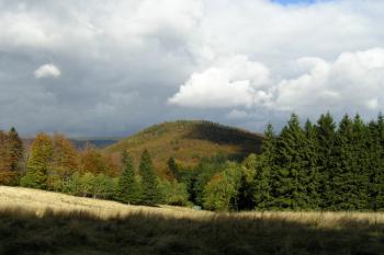 Pohled na vrchol s pozůstatky hradu Obřany od jihozápadu ( © Jan P. Štěpánek 10/2007)