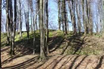 Křídlo - předhradí (© zdeněk komínek, 04/2010)