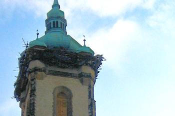 Kostel sv. Petra a Pavla v Mělníku ( © Pavel Vítek 03/2007)