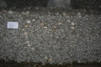 Kostel sv. Petra a Pavla (© Petr Skácel, 07/2007)