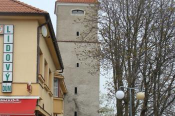  (© Tomáš Hobzík, 06/2011)