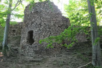 hrad od turistické cesty (© Rodochrozit, 06/2010)