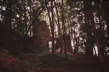 Zřícenina hradu Oheb (© Vlastislav Mareček, 07/1989)