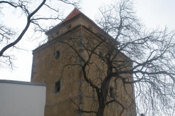  (© Jiří Suchomel, 01/2009)