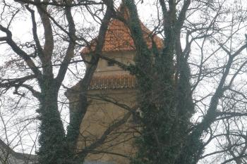  (© Jiří Suchomel, 01/2009)