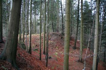Předhradí hradu (© Petr Nožička, 12/2008)