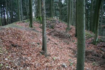 Vlastní plocha jádra (© Petr Nožička, 12/2008)