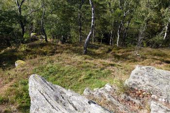 Pohled na severozápadní okraj vrcholové plošiny (© Jiří Cukr, 10/2009)