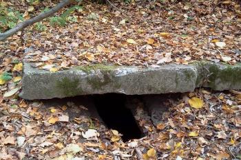  Štandl  zakrytý vchod do podzemi  hrádku (© Daniel Pipien, 11/2013)