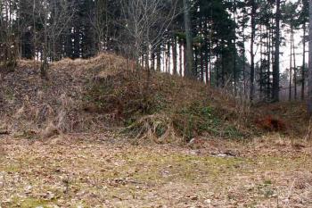Celkový pohled na porušené jádro lokality na SV a zbytky valu (vpravo na snímku) ( © Miroslav BITTER 2005)