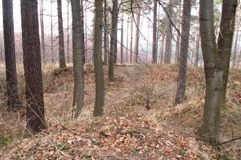 Pohled z jádra lokality na předsunutý val. ( © Miroslav BITTER 2005)