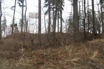 Celkový pohled na jádro lokality, které je dnes bohužel hodně poznamenané výstavbou vysílače. ( © Miroslav BITTER 2005)