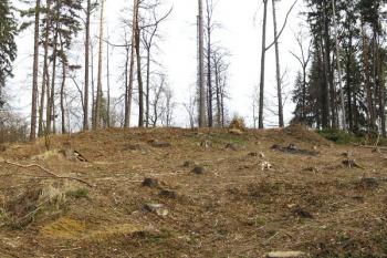 celkový pohled na hrádek na Štandlu od přístupu ze západu ( © Jan P. Štěpánek 02/2008)