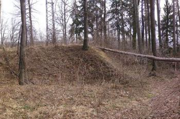 pohled z obvodového valu v západní části areálu na pahorek jádra hrádku (vlevo), příkop a val v jižní části ( © Jan P. Štěpánek 02/2008)