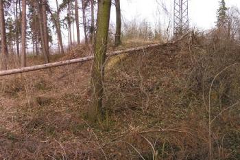 pohed na areál hrádku od jihozápadu ( © Jan P. Štěpánek 02/2008)