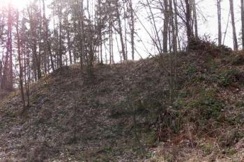 celkový pohled na pahorek jádra a okružní příkop a val od severu ( © Jan P. Štěpánek 02/2008)