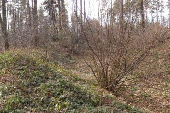 johovýchodní část valu, příkopu a jádra hrádku (vpravo) ( © Jan P. Štěpánek 02/2008)
