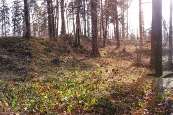 celkový pohled na lokalitu hrádku od severozápadu ( © Jan P. Štěpánek 02/2008)