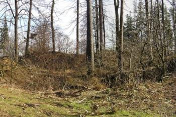 celkový pohled na lokalitu od západu ( © Jan P. Štěpánek 02/2008)