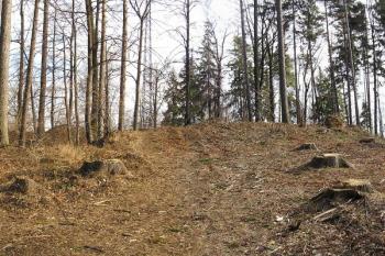 pohled na lokalitu od západu ( © Jan P. Štěpánek 02/2008)