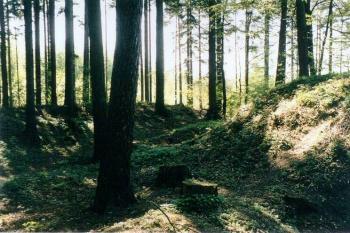 Štandl ( © Jan Štěpánek 2000)