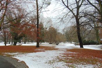 Zámecký park (© Dušan Dohňanský  11/2021)