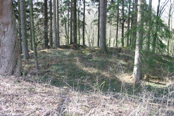 pohled na tvrz od přístupu na východní straně (© D Dohňanský, 04/2015)