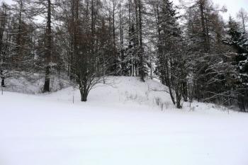 tvrziště od severozápadu ( © Jan P. Štěpánek 03/2008)