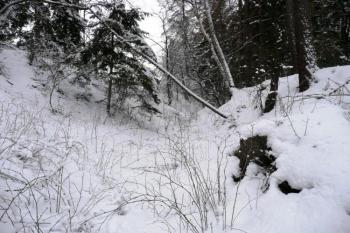 pohled příkopem od severu k jihu ( © Jan P. Štěpánek 03/2008)