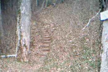 Schody (© Iva Synková 03/2004)
