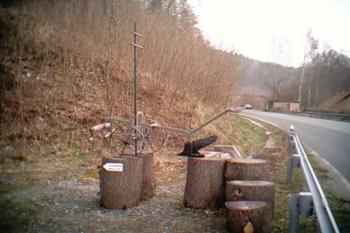 Pluh (© Iva Synková 03/2004)