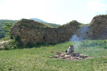  (© Tomáš Hobzík, 06/2011)