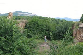 Zarostlý areál hradu v létě 2003 (2003 © Vlky)