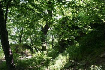 Příkop na severovýchodní straně hradu (© Ivan Grisa, 05/2008)
