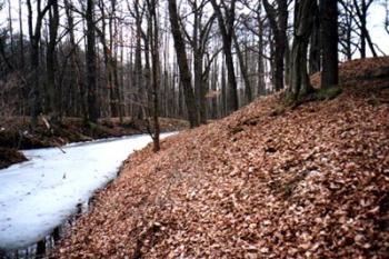  (© Seycek 02/2004)
