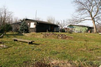 Drobné terénní nerovnosti – jako pozůstatek po zámeckém areálu. ( © Miroslav BITTER 03/2007)