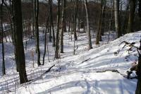 Ronov