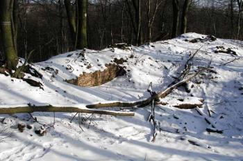 Jádro hradu (© Roman Řezáč 02/2003)
