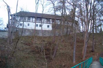 z protějšího břehu Slatinného potoka (© Anna Hladíková, 03/2010)