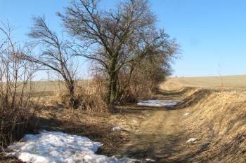 Úvoz mrtvých (© rodo chrozit, 1/2010)