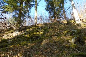 mohutný val 1. předhradí u akropole na západní straně (© Jaroslav Špiroch  03/2022)