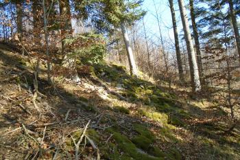 mohutný val 1. předhradí u akropole na západní straně (© Jaroslav Špiroch  03/2022)