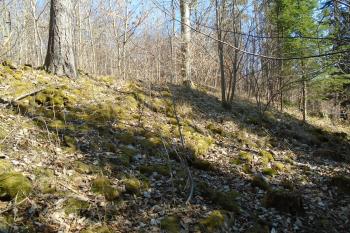mohutný val 1. předhradí u akropole na západní straně (© Jaroslav Špiroch  03/2022)