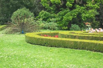 Zámecká zahrada (© Nikola Mildová, 07/2013)