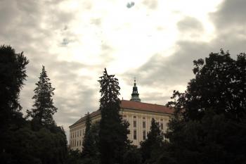  (© Nikola Mildová, 07/2013)